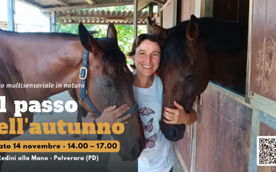 Al passo dell’autunno
