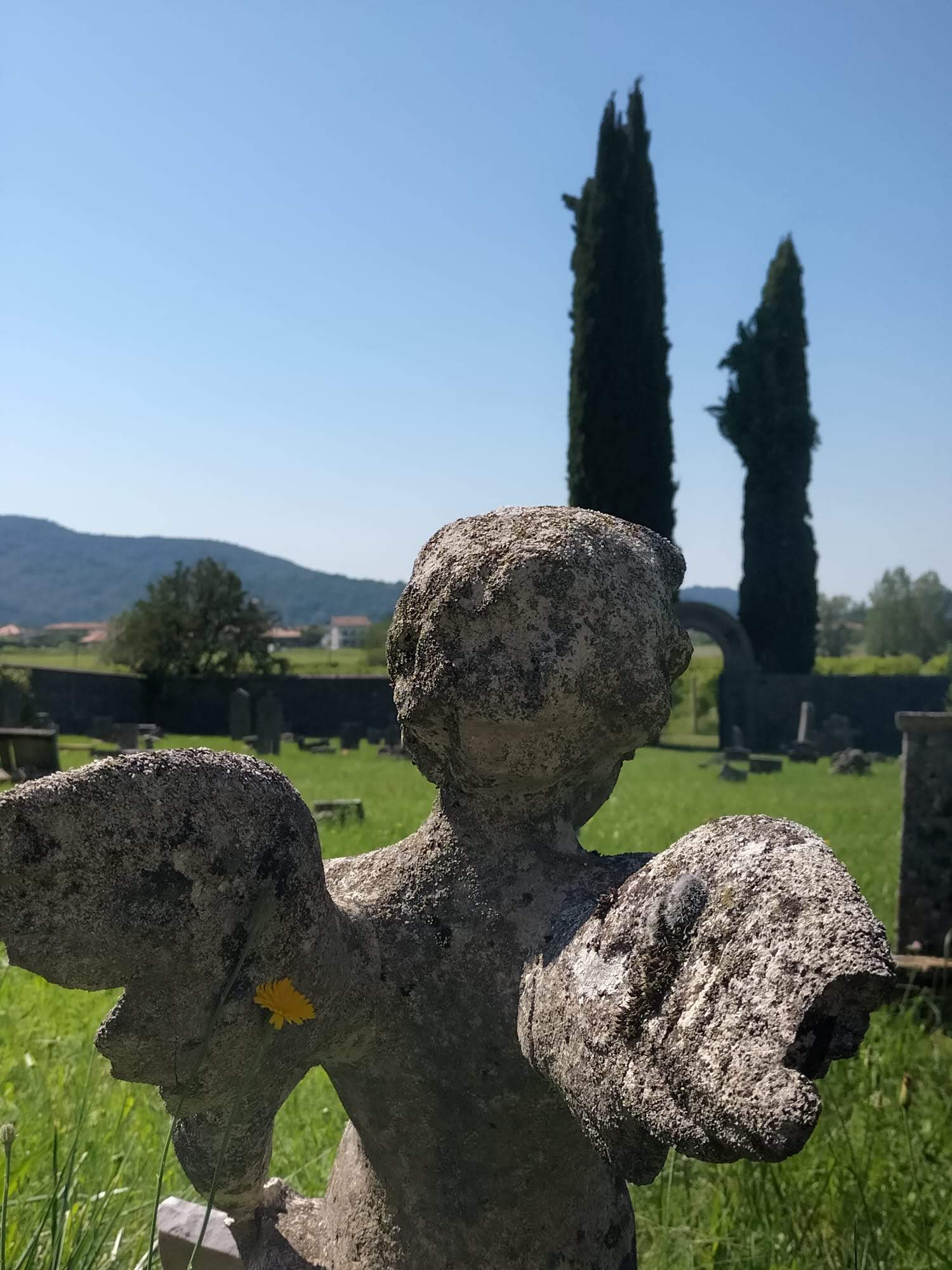 Statua di angelo in un piccolo cimitero di campagna tra i cipressi