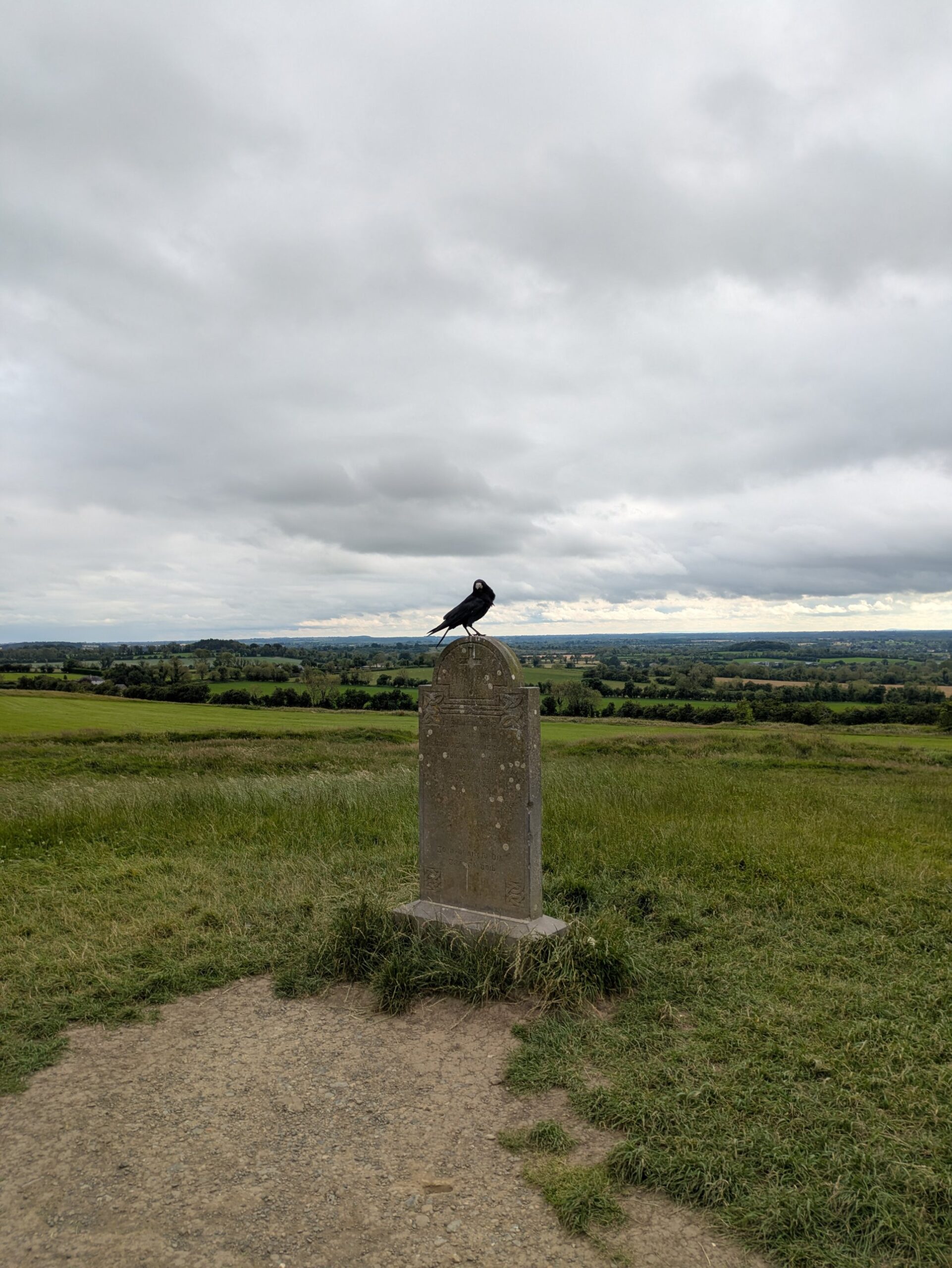 Un corvo posato su una lapide sulla collina di Tara, in Irlanda, sotto un cielo nuvoloso