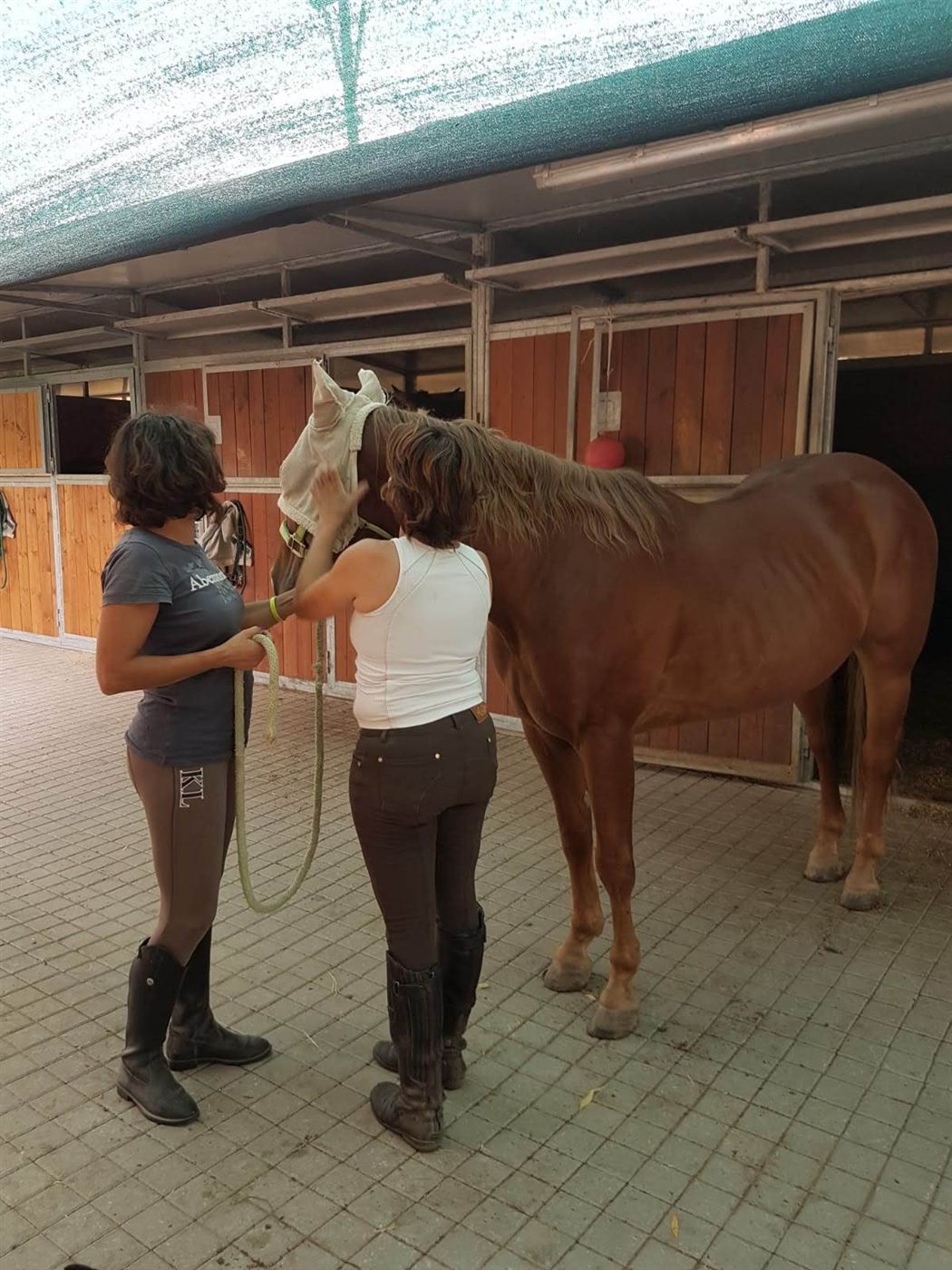 Francesca e Sabrina con un cavallo