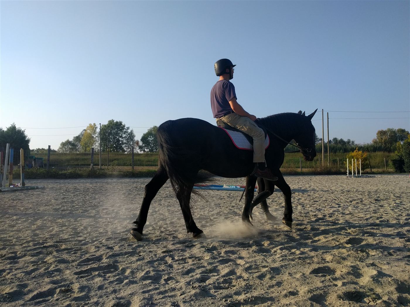 Cavallo nero al passo