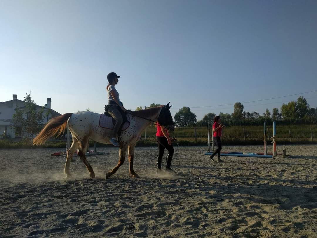Una cavaliera in sella ad ASD Redini alla Mano