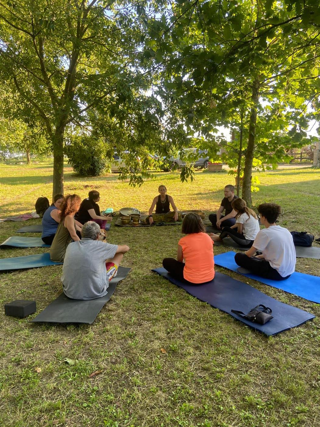 Cerchio di meditazione all'ombra degli alberi