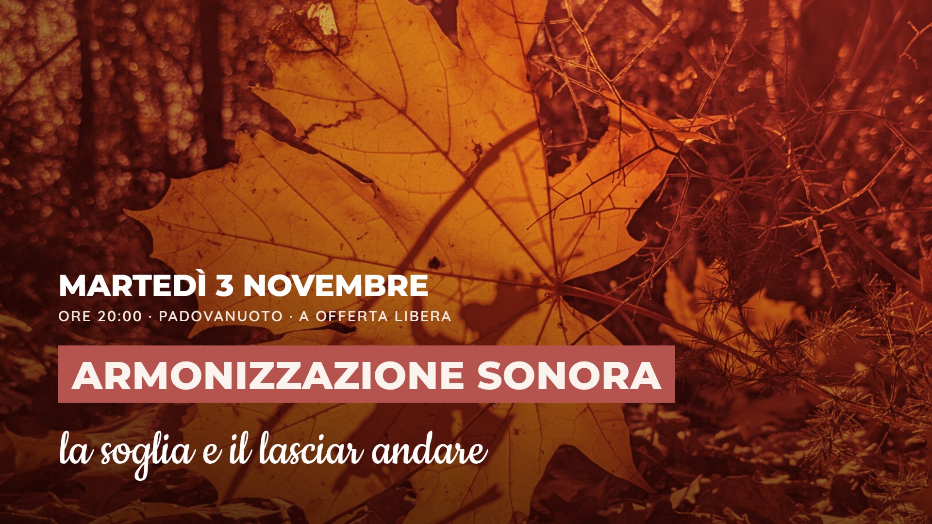 Foglia d'autunno nei toni del rosso, arancio e giallo – Armonizzazione sonora 3 novembre, la soglia e il lasciar andare