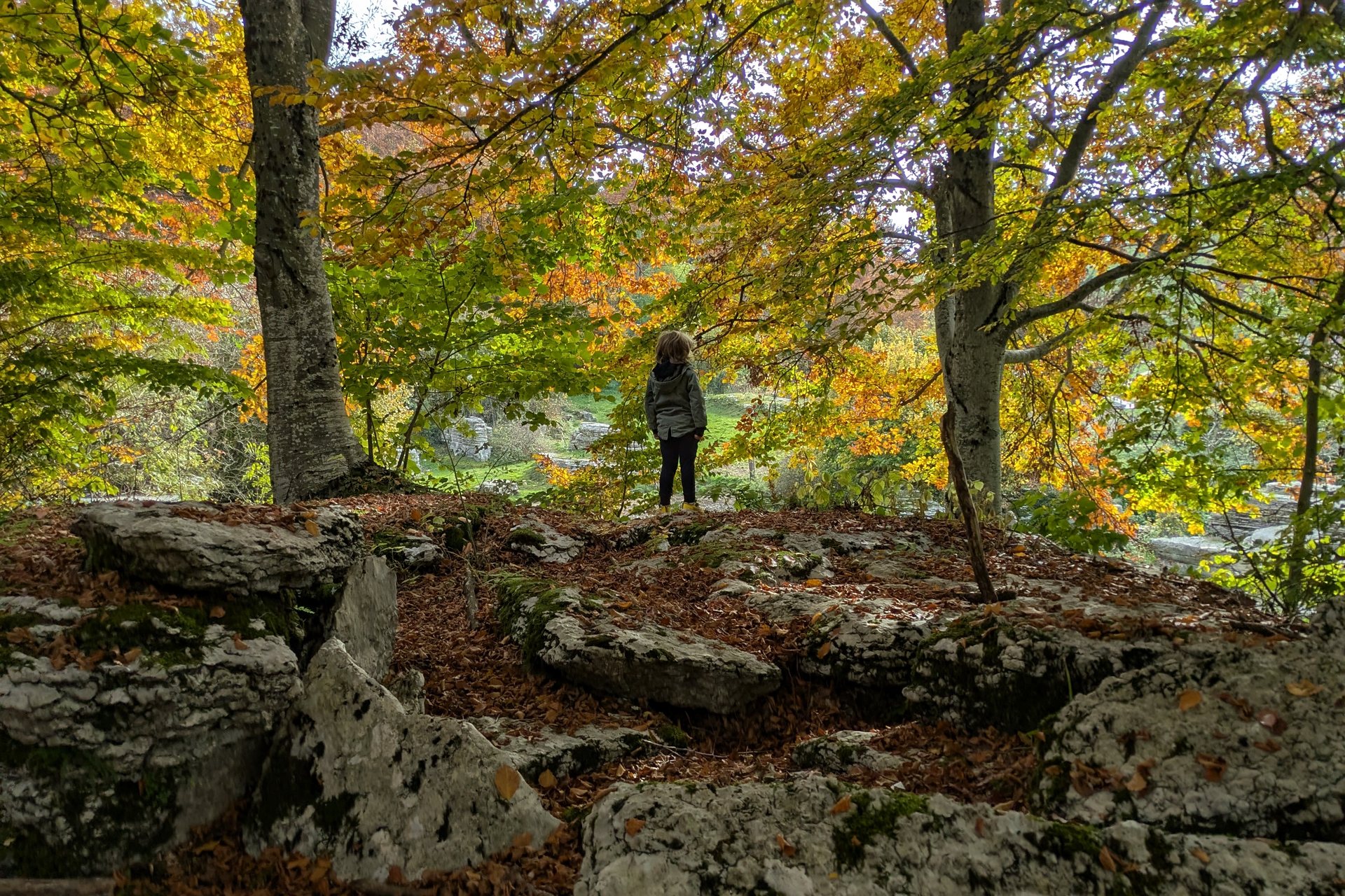 Una figura in piedi tra rocce e faggi in un bosco autunnale